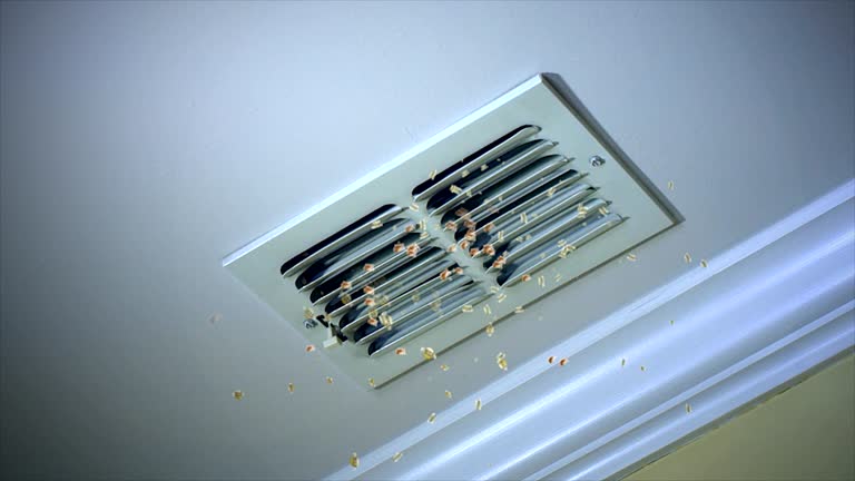 Home Air Vent Cleaning in FL